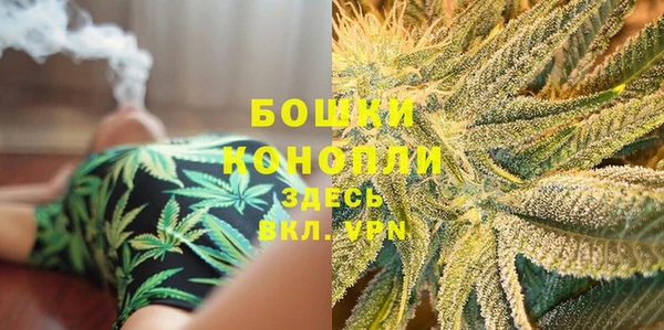 PSILOCYBIN Верея