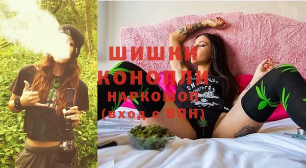 PSILOCYBIN Верея